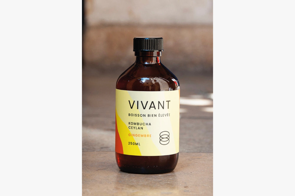 Kombucha gingembre__ Vivant 25cl
