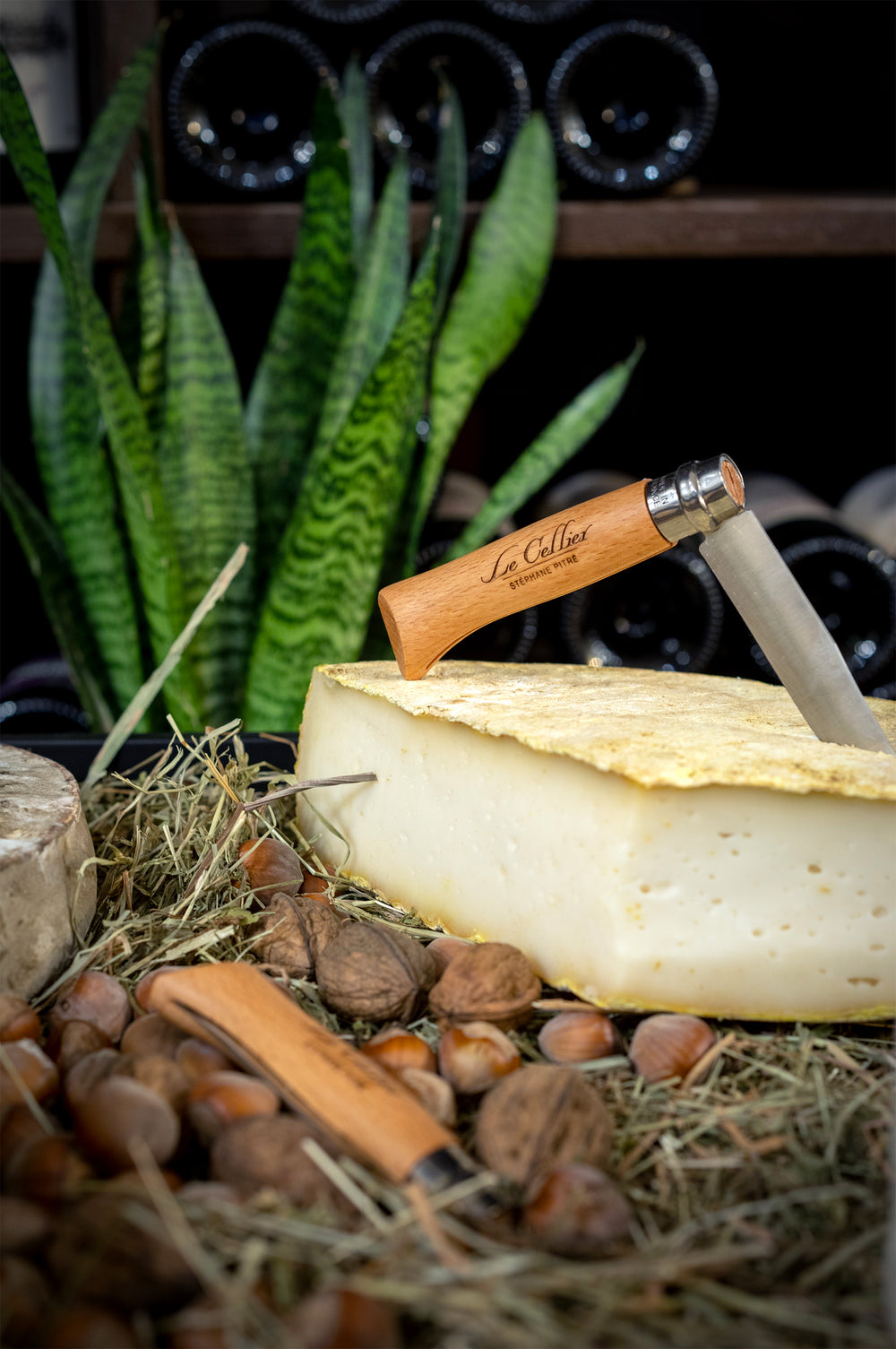 assortiment de fromages