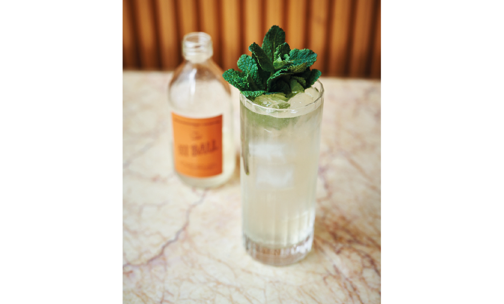 COCKTAIL 1 : HI BALL